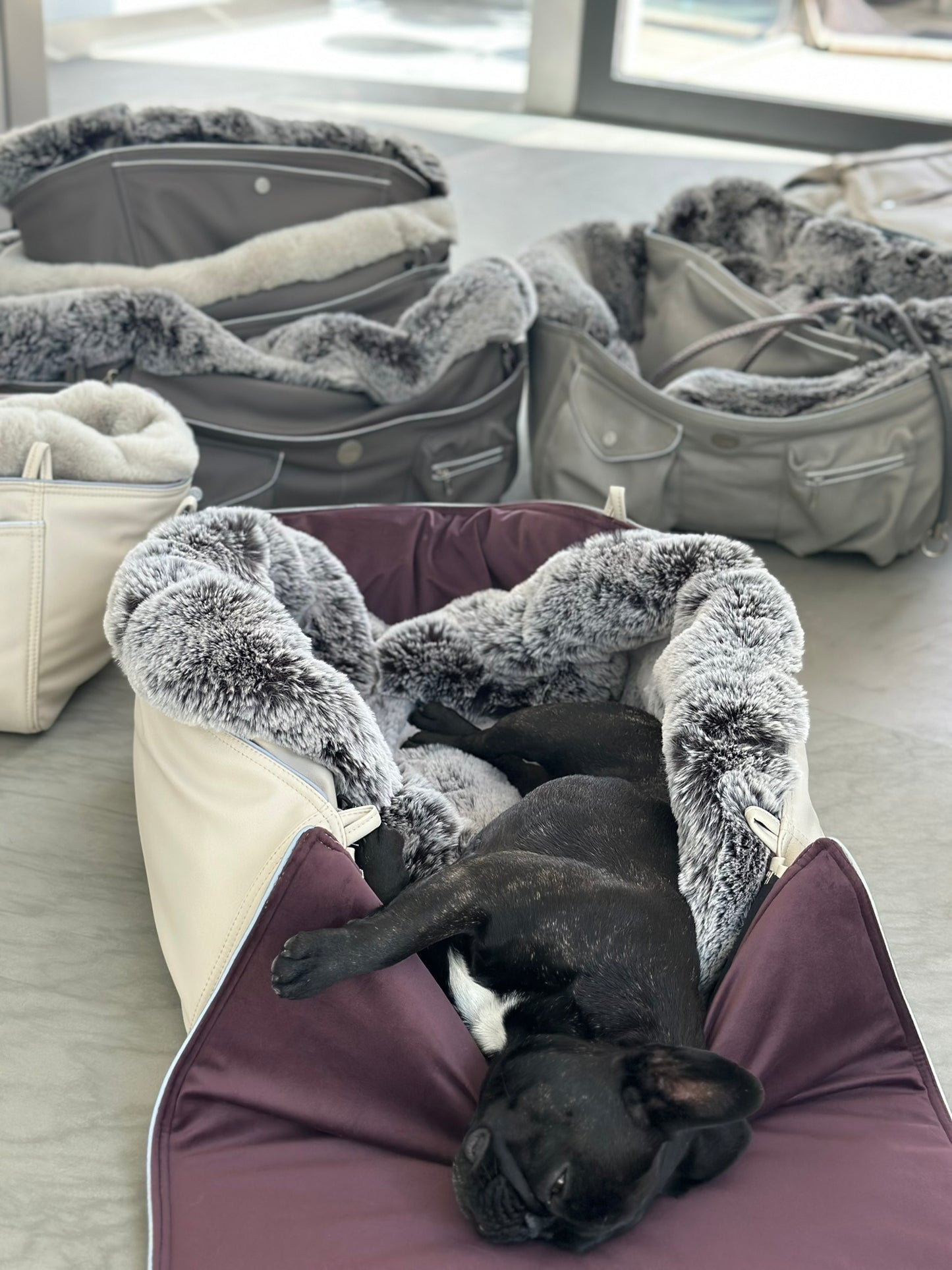 Inlay für die Hundetasche Weekender, Salt & Pepper