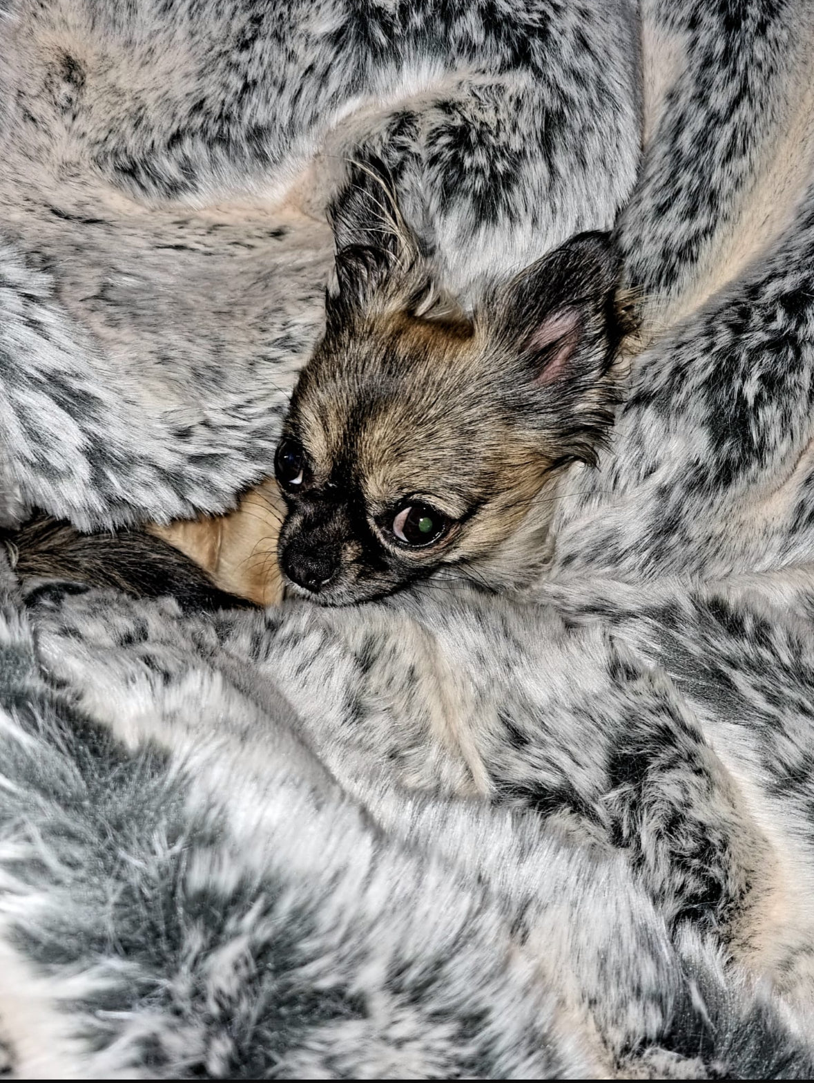 Hideaway Cave Ornament