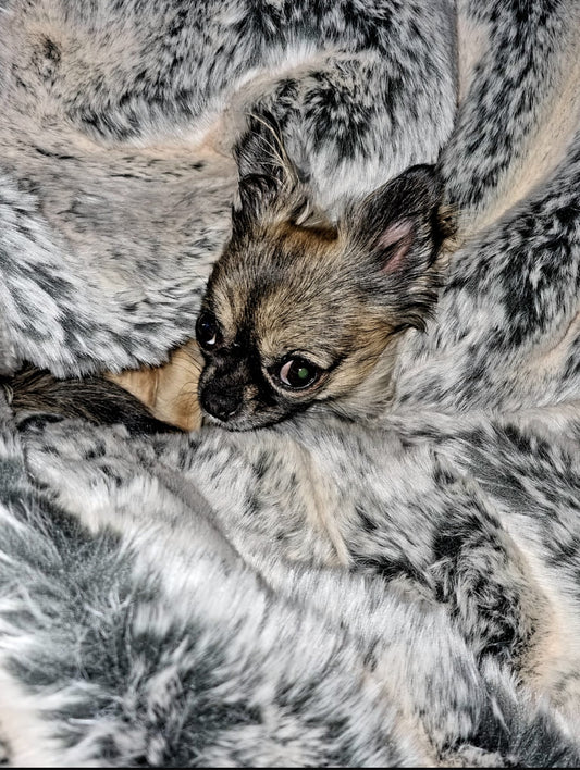 Hideaway Cave Ornament