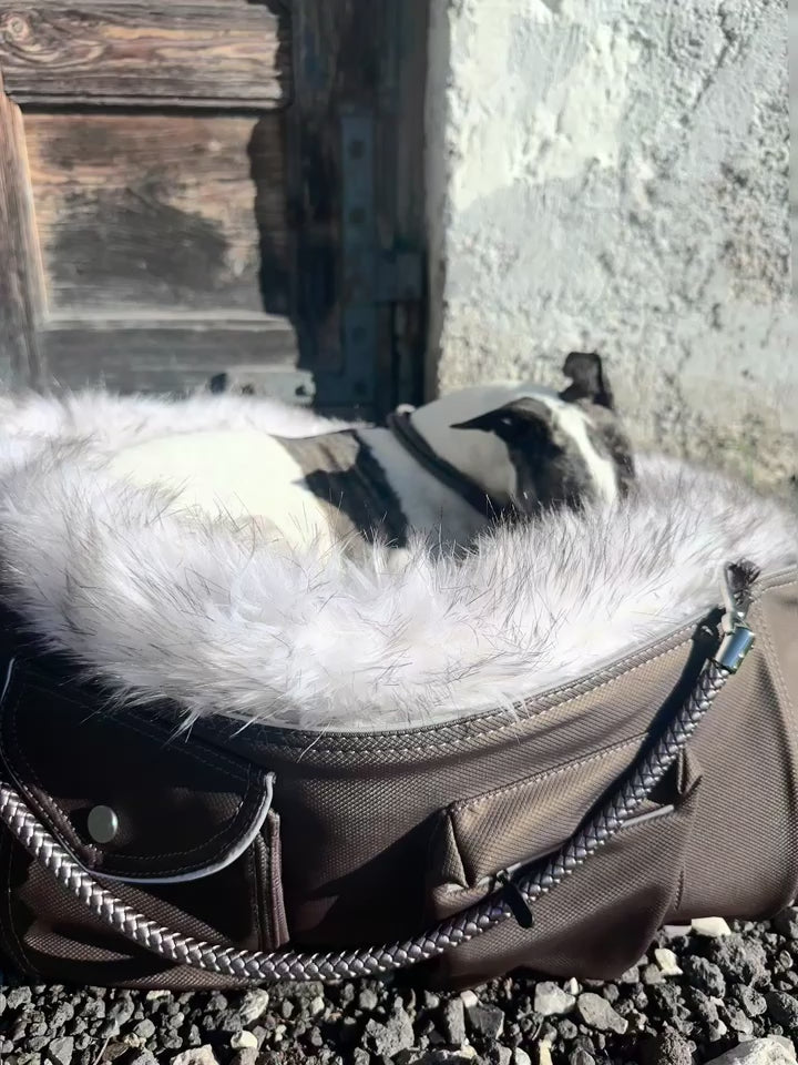 Weekender 4Seasons Chayas for dogs  Film