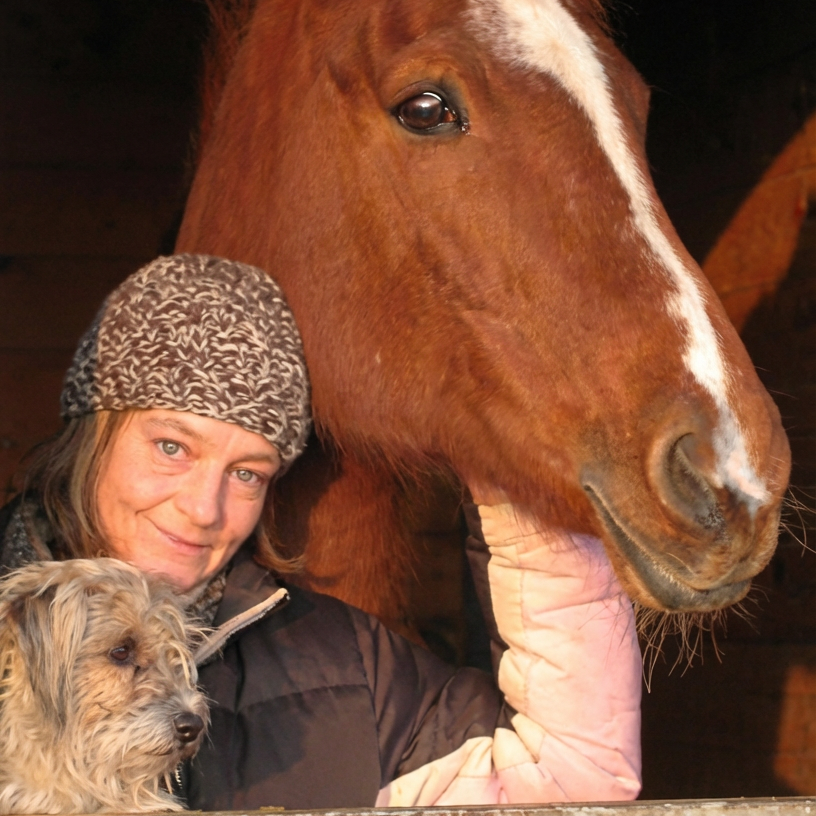 Chayas Expert Opinion