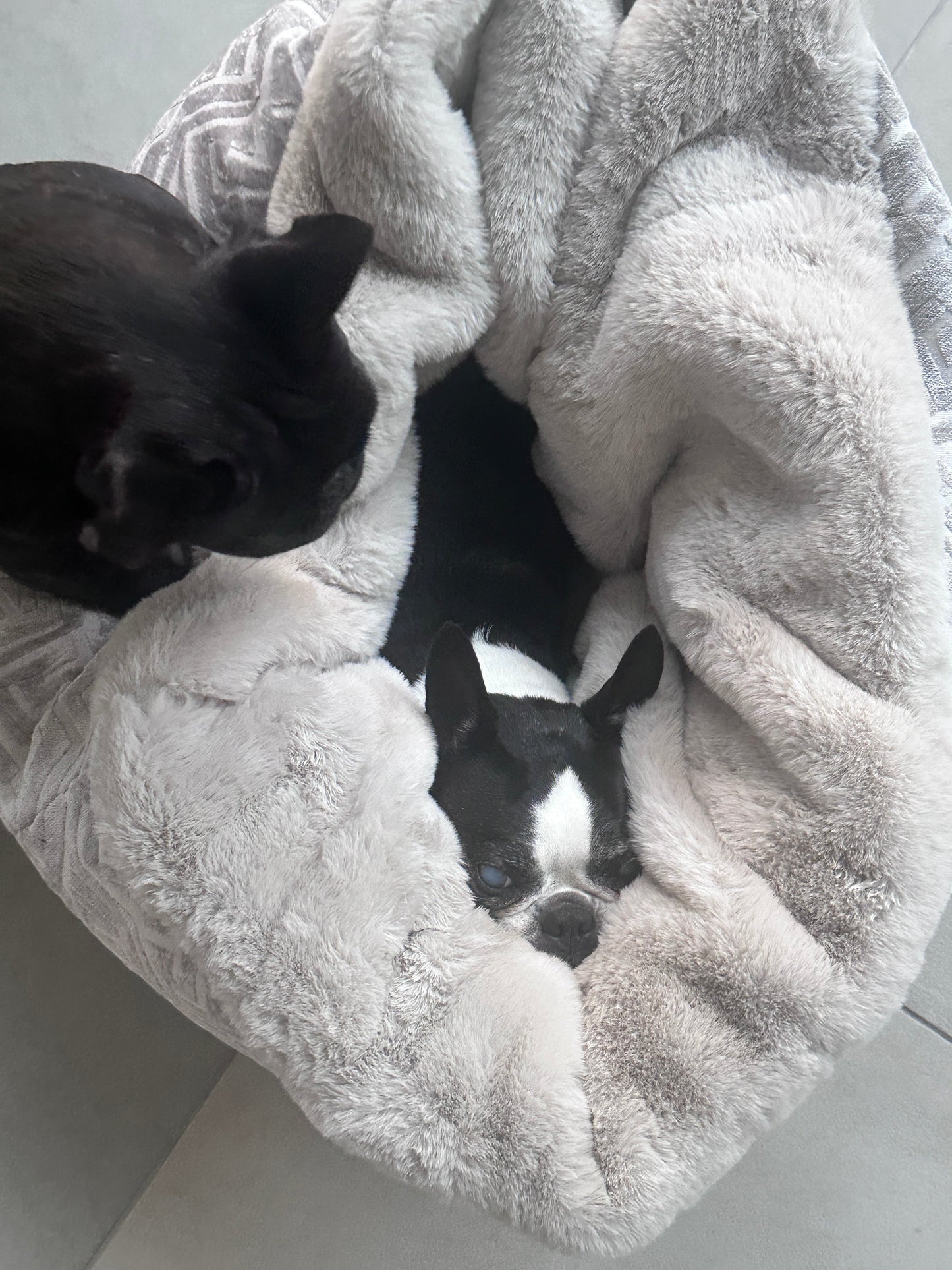 Hundebett Hideaway Ornament