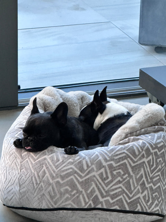 Hideaway Cave Ornament