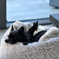 Hundebett Hideaway Ornament