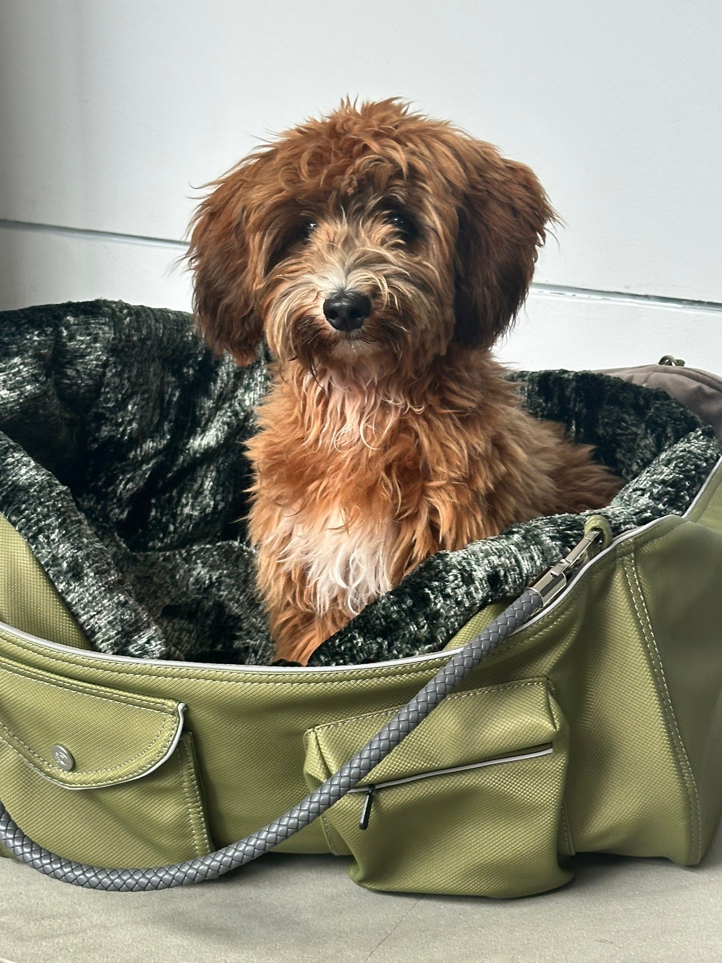 Hundetasche Weekender 4Seasons, moosgrün, M