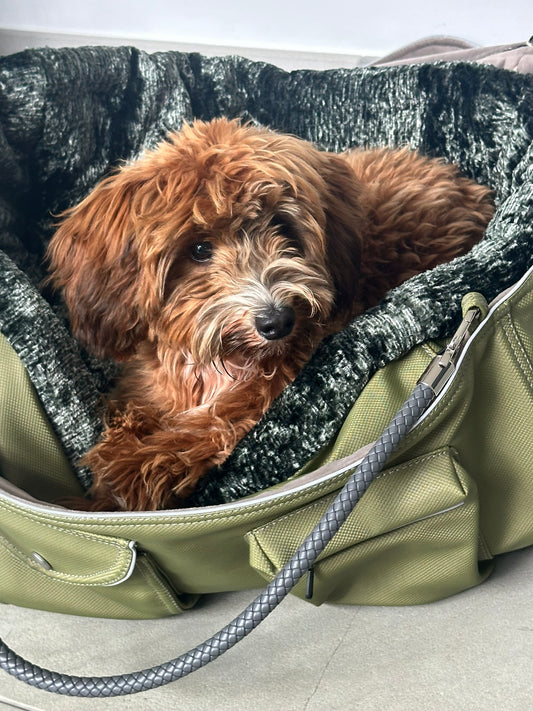 Hundetasche Weekender 4Seasons, moosgrün, M