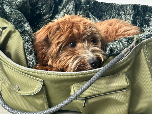 Hundetasche Weekender 4Seasons, moosgrün, M