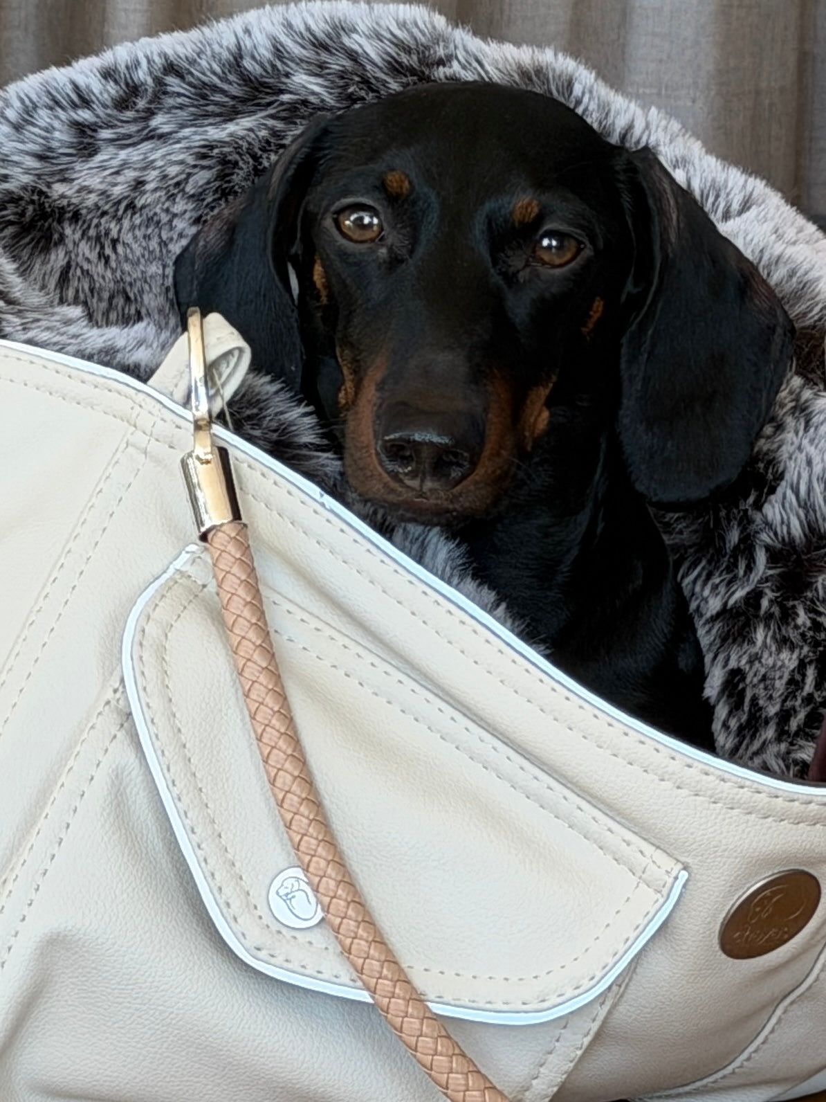 Inlay für die Hundetasche Weekender, Salt & Pepper