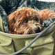 Weekender 4Seasons, braun, M