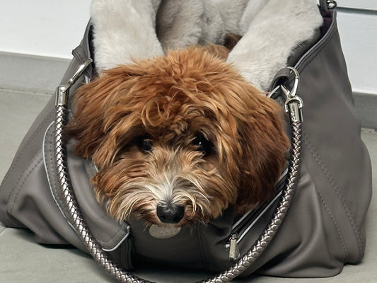 Weekender Solo [[ dark taupe - blackberry ]]