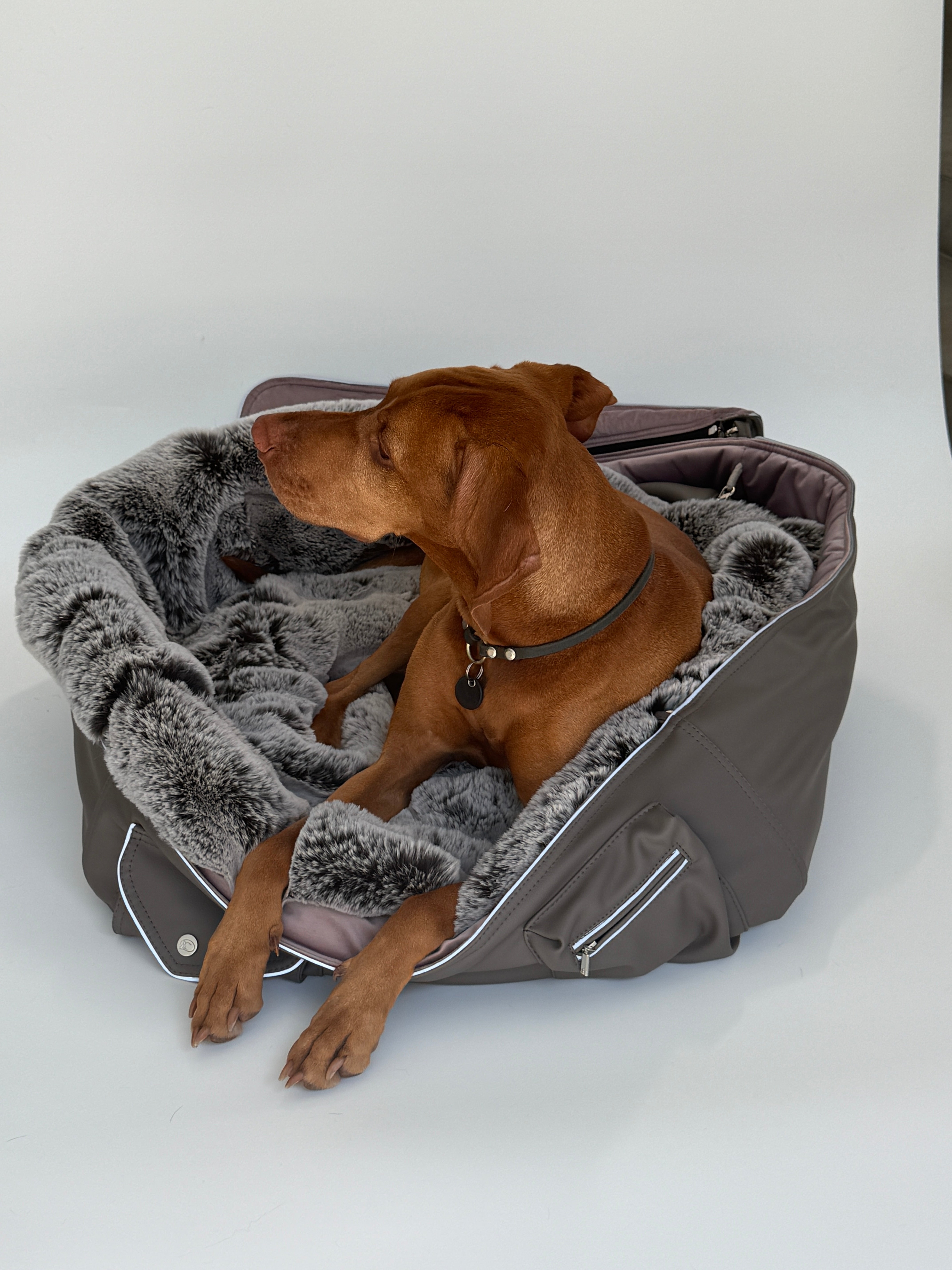 Our Story Die Vision Hinter CHAYAS Luxus Hundetaschen Chayas For our-story-die-vision-hinter-chayas-luxus-hundetaschen-chayas-for