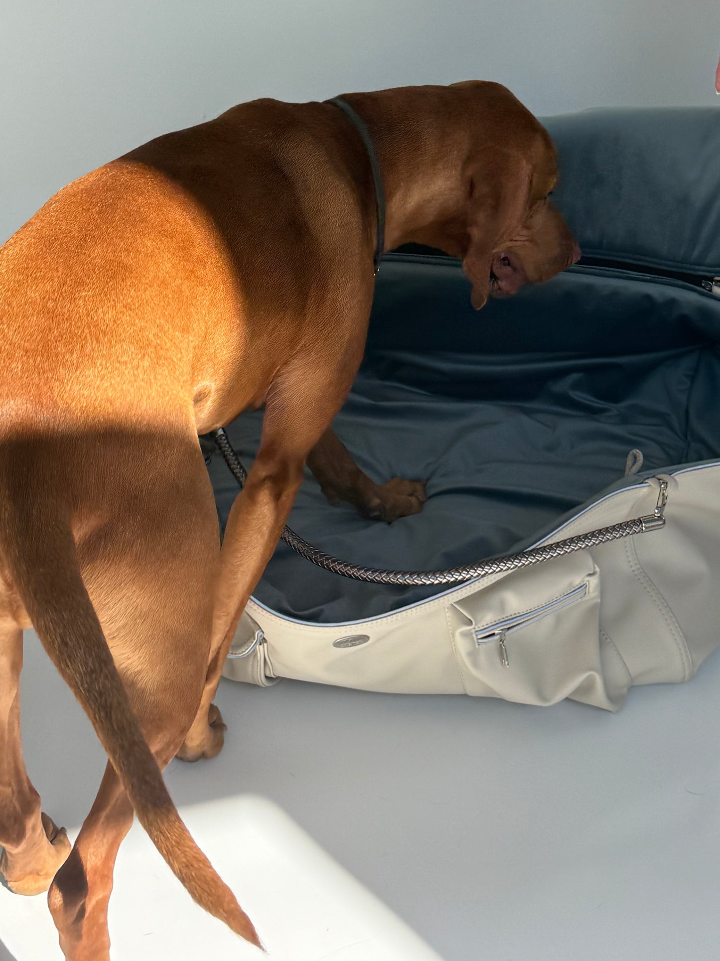 Weekender Solo [[ ice - iceblue ]]