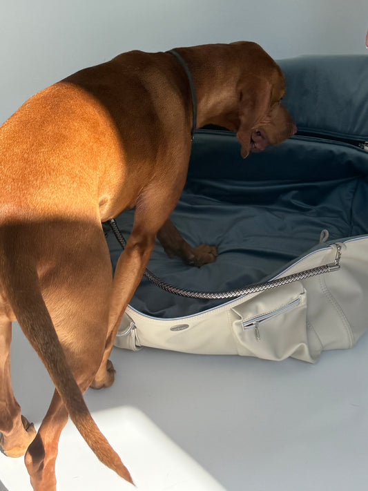 Weekender Solo [[ ice - iceblue ]]