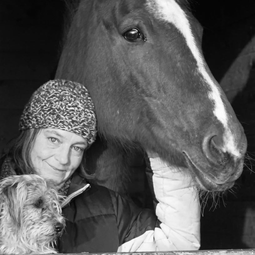 Chayas Expert Opinion