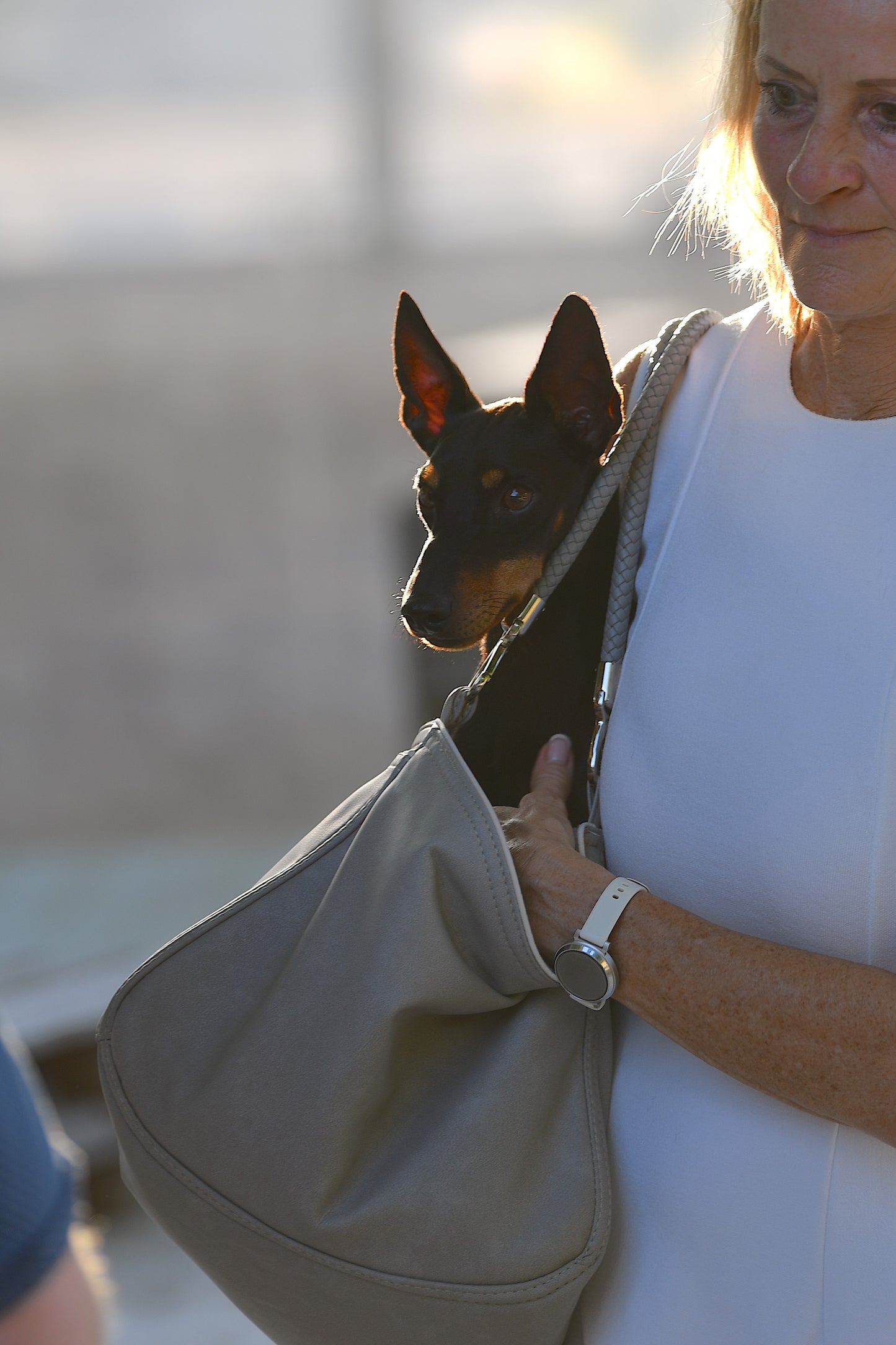Weekender Solo [[ platin grey - dusty rose ]]