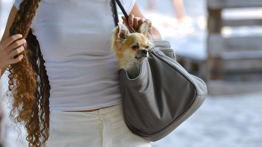 Weekender Solo [[ dark taupe - iceblue ]]