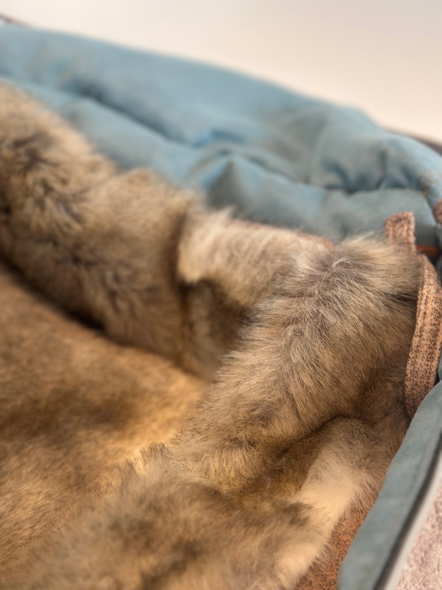 Weekender, taupe with cross body strap, size M