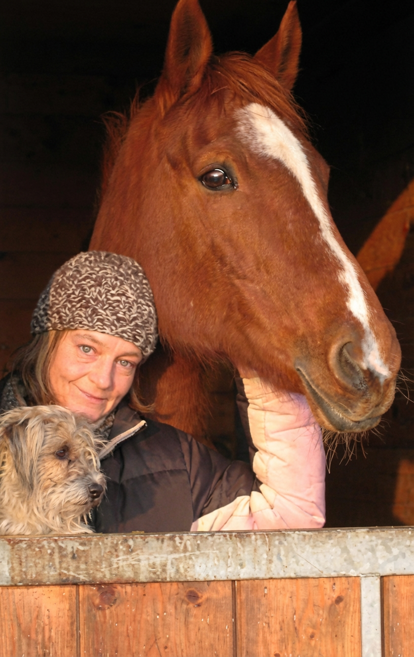 Chayas Expert Opinion